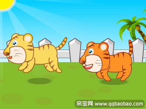 两只老虎